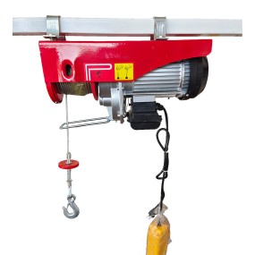 Electric Hoist Supplier - PA1000 Remote 1000kg Mini Lift