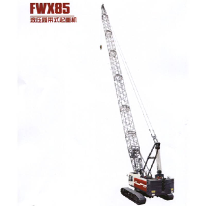 Hydraulic Crane Manufacturer - Fuwa 120Ton Crawler QUY120 54m