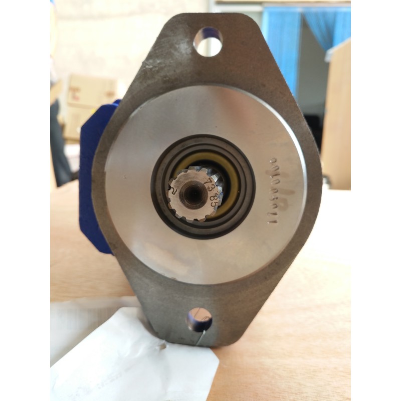 Hydraulic Pump Manufacturer - Double Gear High Pressure Oil Pump