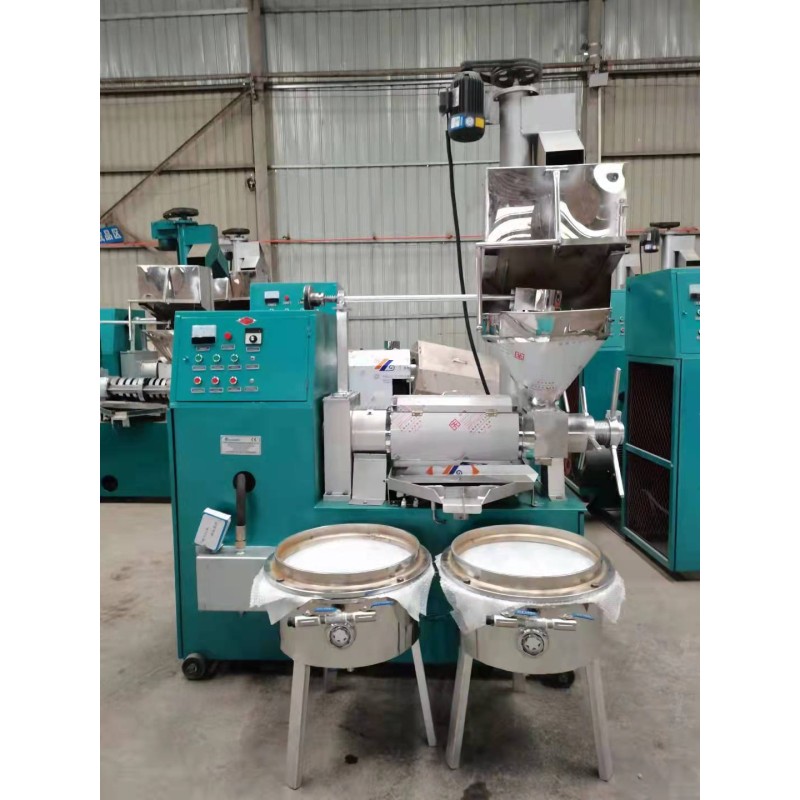 Oil Press Machine Manufacturer - Large Capacity Mini Hydraulic Palm Cashew