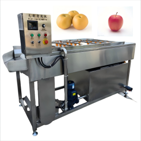 Fruit Washer Machine Factory - High Efficiency Fruit Vegetable Washing