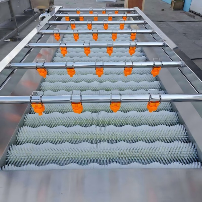 Fruit Washer Machine Factory - High Efficiency Fruit Vegetable Washing