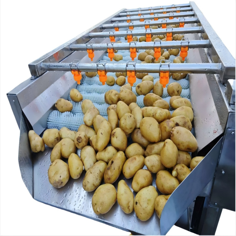 Fruit Washer Machine Factory - High Efficiency Fruit Vegetable Washing