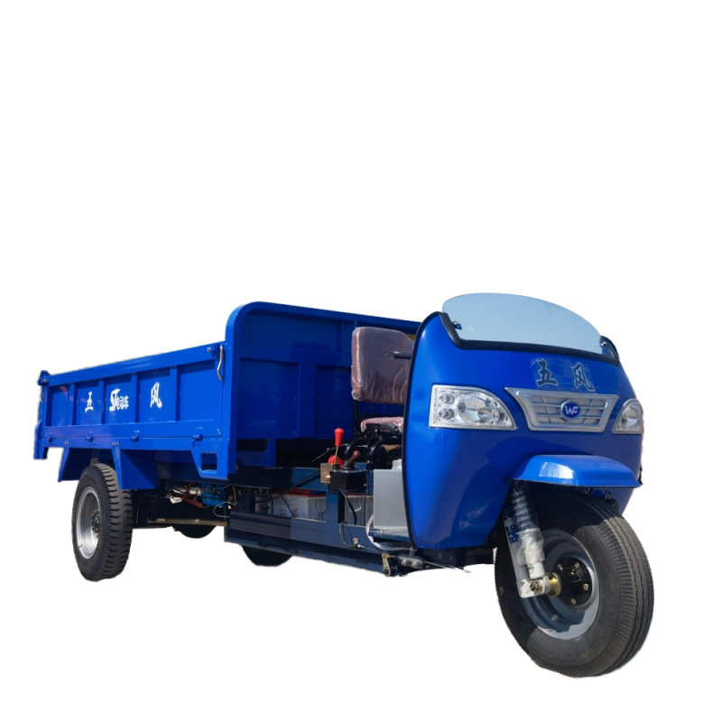 Brand New Tricycle Manufacturer - Low Noise Long Battery Life High-low Speed Gear