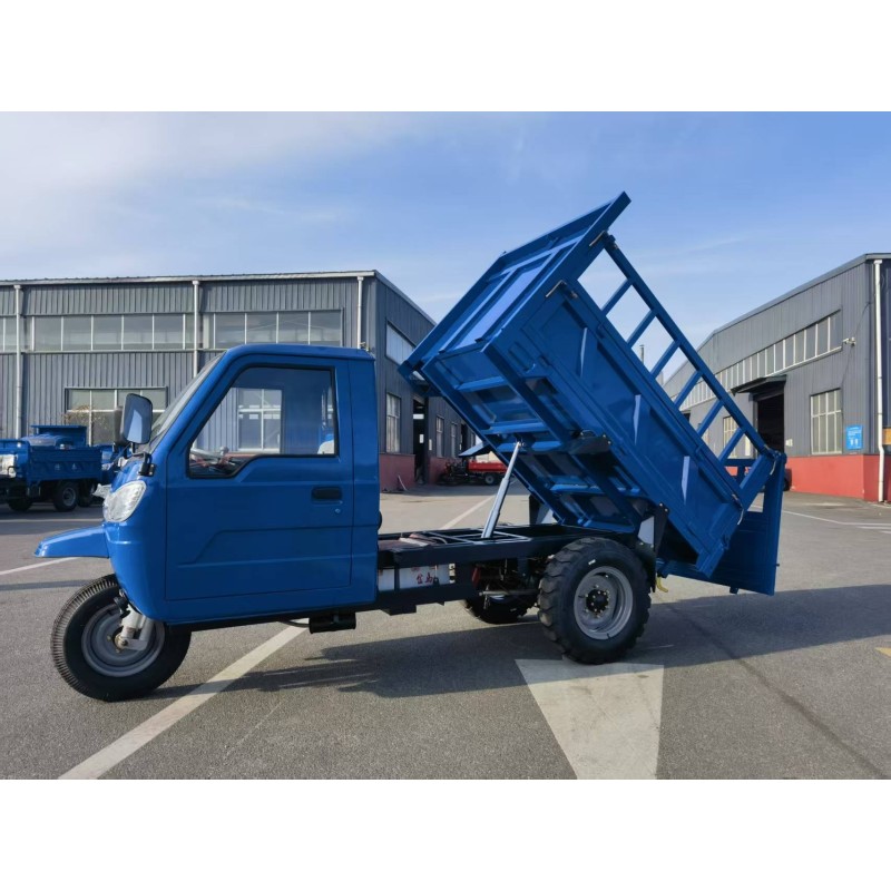 Self Dump Tricycle Supplier - Energy Saving Electrical Heightened Container Gear