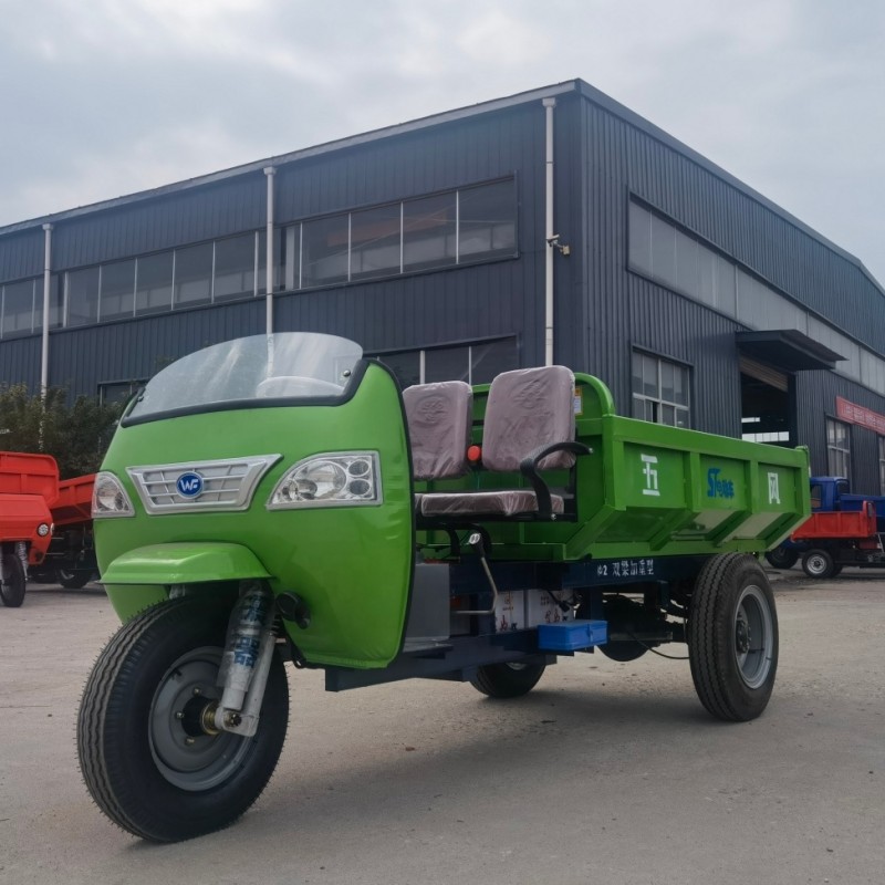 Brand New Tricycle Manufacturer - Low Noise Long Battery Life High-low Speed Gear