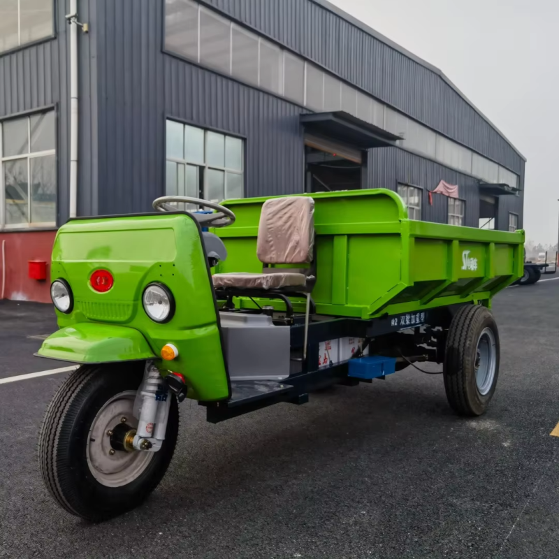 Electrical Tricycle Manufacturer - Top Quality Branded Long-life Maintenance-free Battery