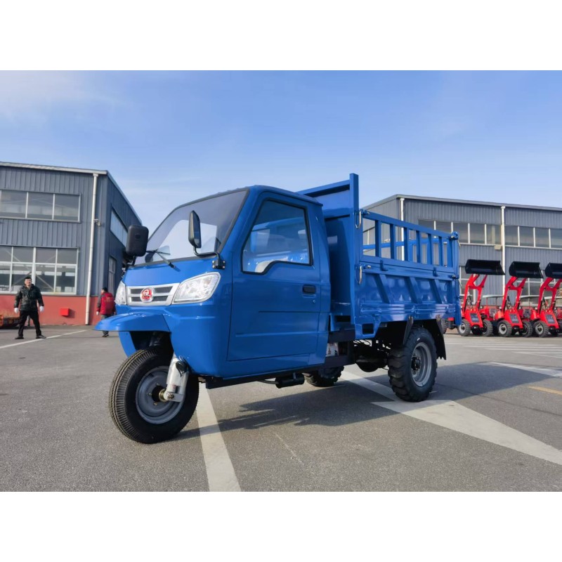 Luxury Tricycle Supplier - Double Seater Maintenance-free Lead-acid Battery Petrol
