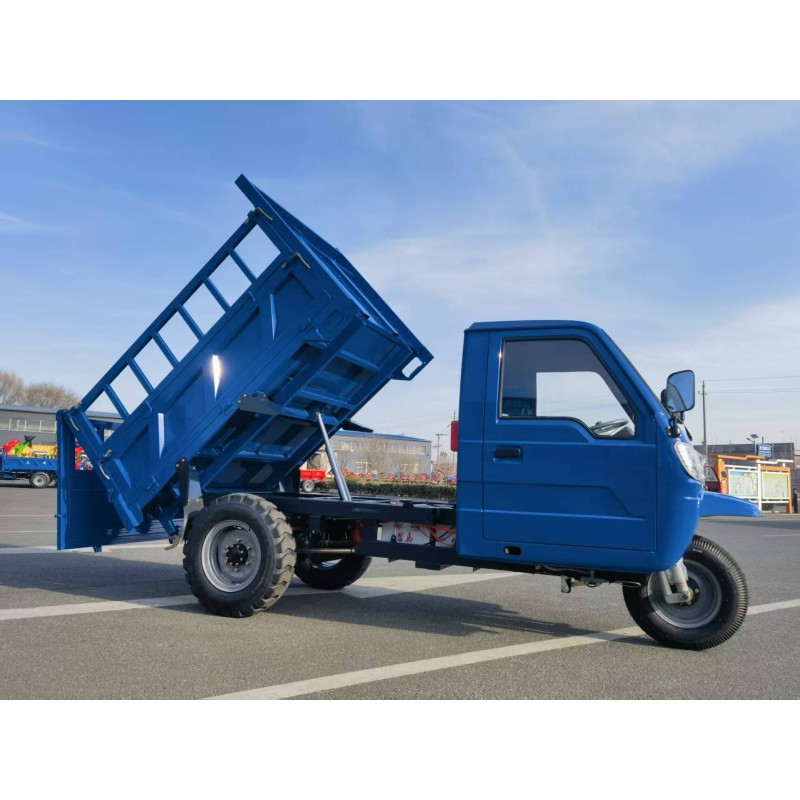 Luxury Tricycle Supplier - Double Seater Maintenance-free Lead-acid Battery Petrol