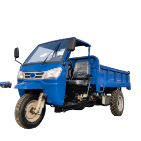 Electrical Tricycle Supplier - Farming Garden House Using Battery Life-range Extender