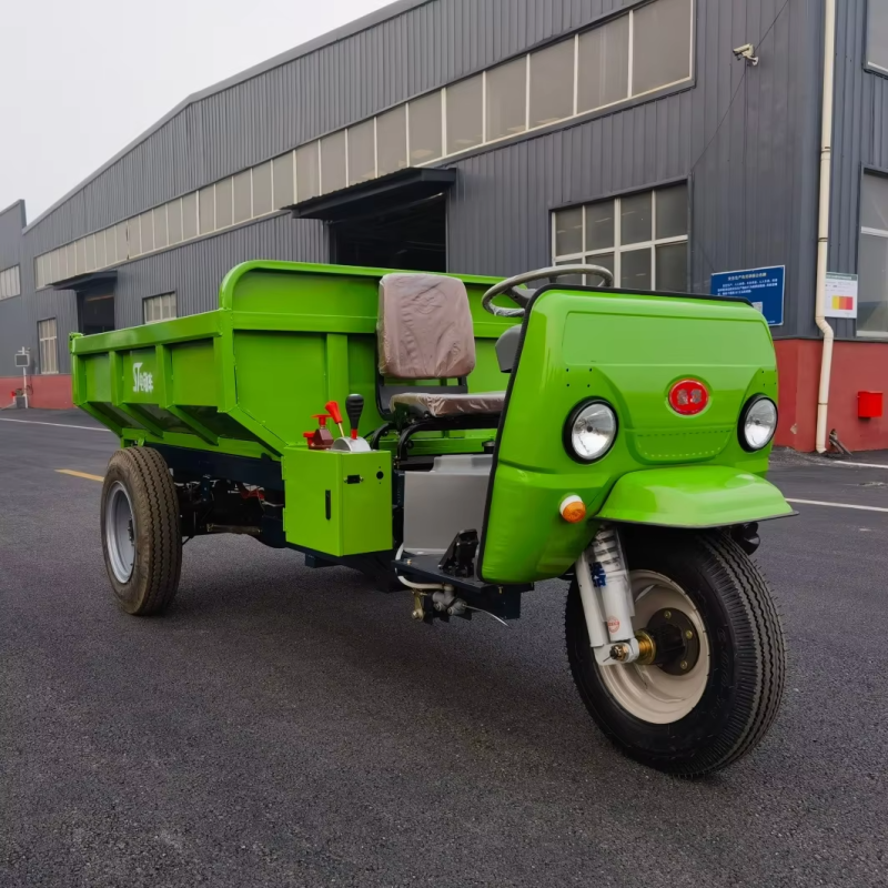 Electrical Tricycle Manufacturer - Top Quality Branded Long-life Maintenance-free Battery