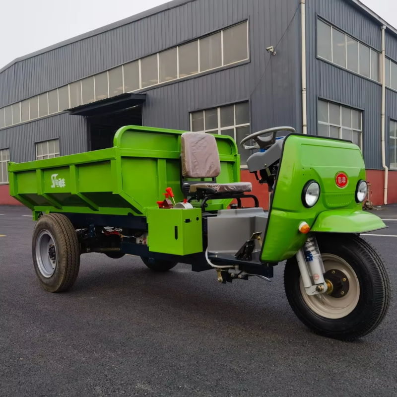 Electrical Tricycle Manufacturer - Top Quality Branded Long-life Maintenance-free Battery