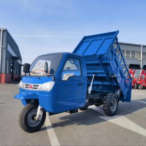 Self Dump Tricycle Supplier - Energy Saving Electrical Heightened Container Gear