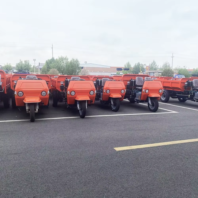 Farming Tricycle Supplier - OEM Orders China Factory Direct Sale Goods Transportation