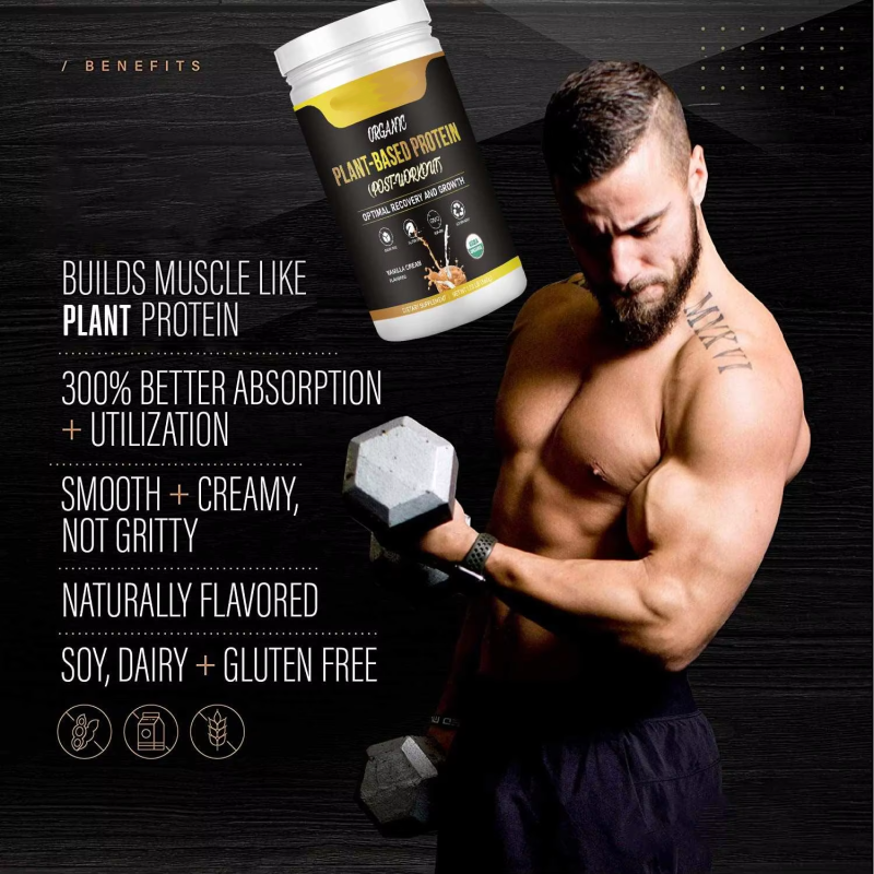 Wholesaler OEM Hot Sale Organic Plant Protein Powder Vegan Protein for Diet Meal Shake 560g