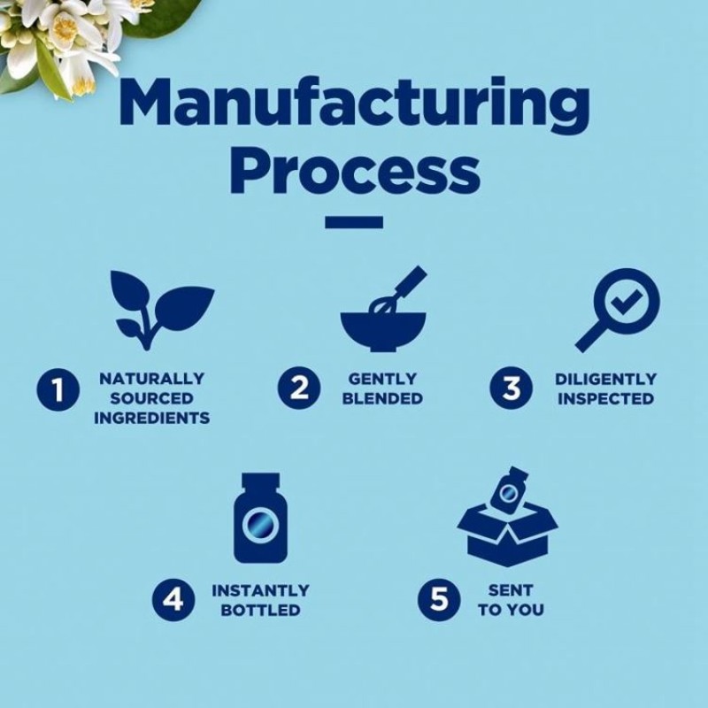 Wholesale Slim Green Tea Diuretics Capsules Adult Colon Cleansing Detox Fat Burning Weight Loss Diet Pills Beauty Products