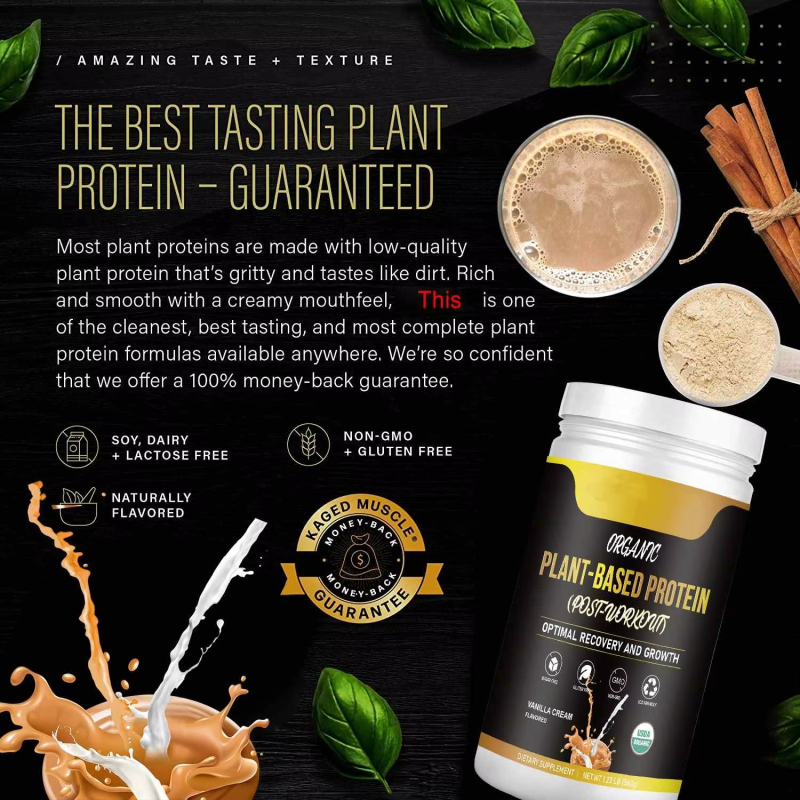 Wholesaler OEM Hot Sale Organic Plant Protein Powder Vegan Protein for Diet Meal Shake 560g