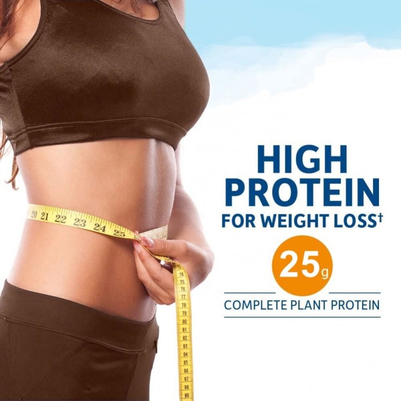 Wholesaler OEM Hot Sale Organic Plant Protein Powder Vegan Protein for Diet Meal Shake 560g