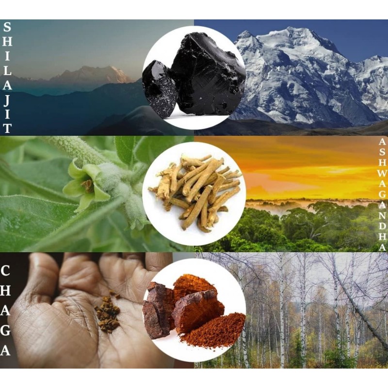 OEM Manufacturer Direct Factory Sale Shilajit Gummies for Men and Women Customizable Logo Label Dosage Form Gummy Candy