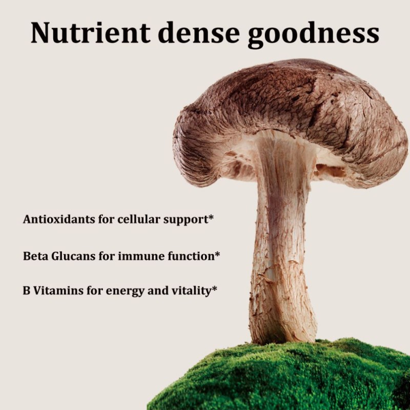 Nutrient Dense Goodness Agaricus Powder with Blazei Murrill Fruiting Body Extract Immune Support Collagen for Adults