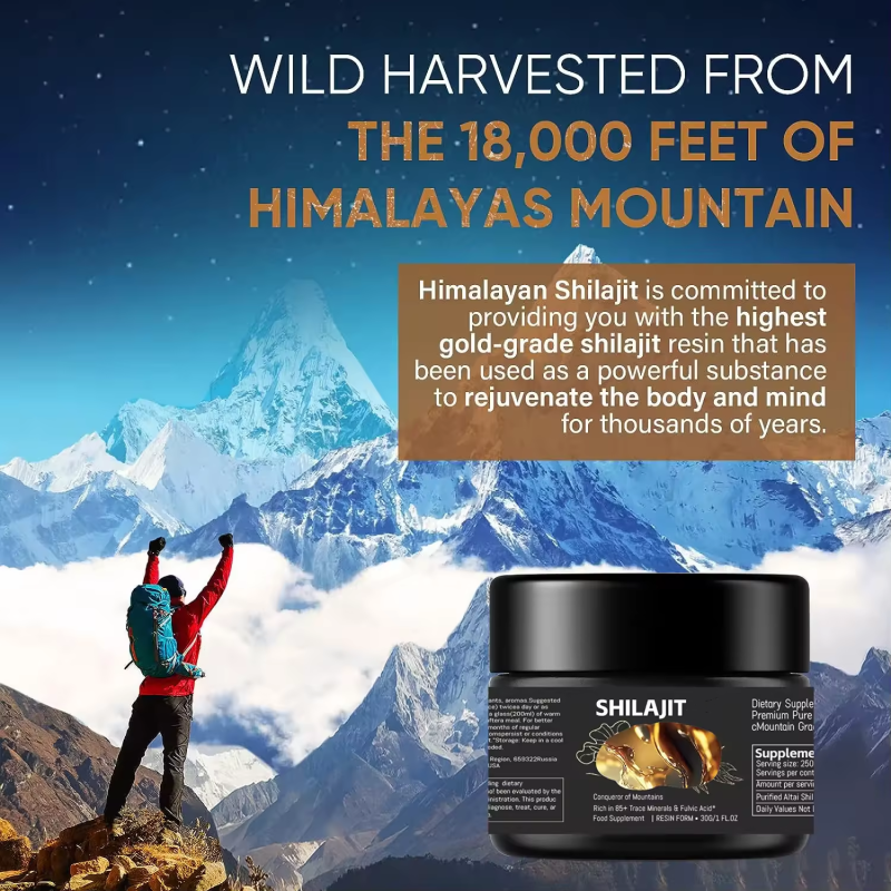 100% Natural Himalayan Shilajit Resin Ointment Jam OEM Herbal Supplement for Adults Improves Energy Heart Blood Pregnant Women
