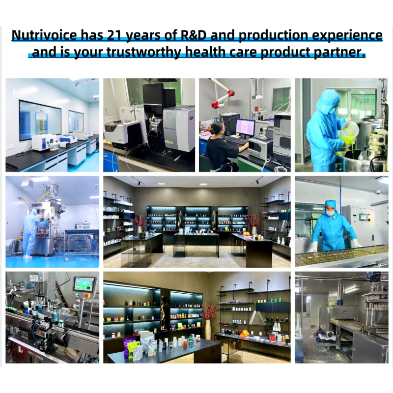 OEM Pure Himalayan Shilajit Resin Sachet Organic Honey Shilajit Honey Sticks Hot Sale Supplement for Pregnant Women Adults Syrup