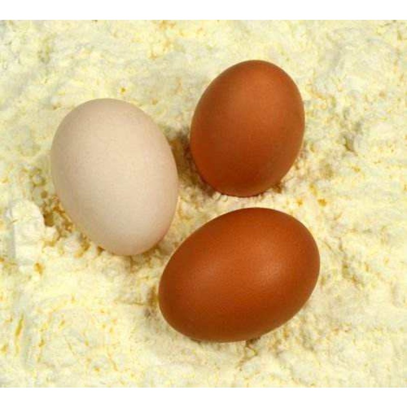 Wholesaler OEM Private Label Food Grade White Powder Natural Extract Protein