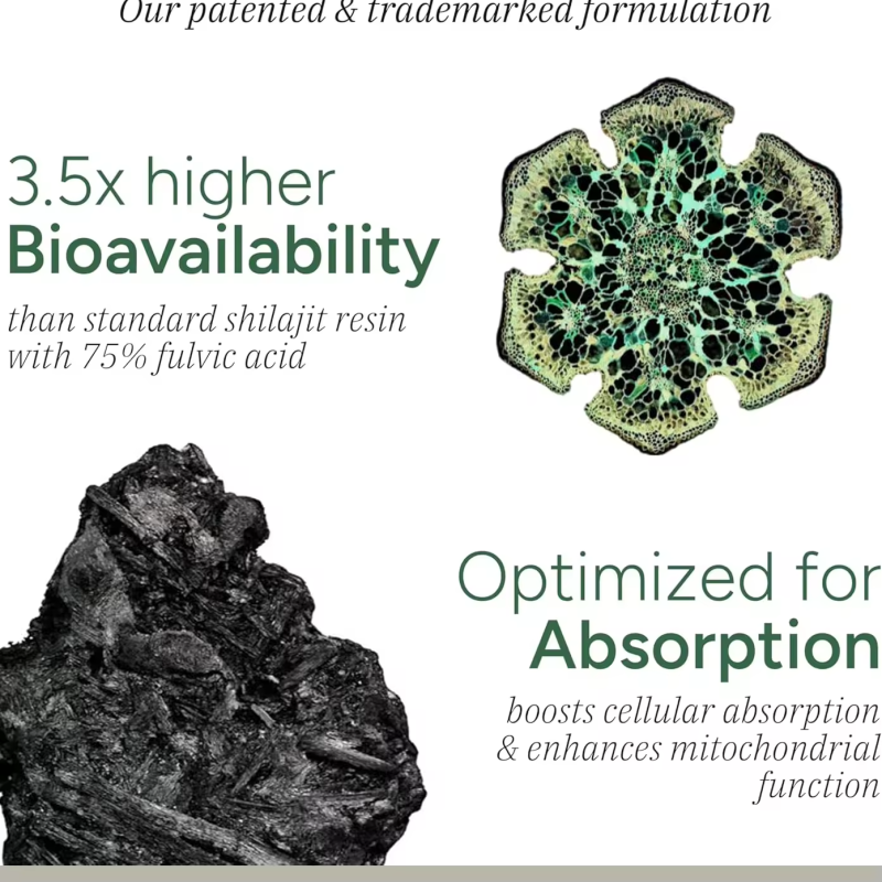 Pure Himalayan Shilajit Gummies 60 Pack with 75% Fulvic Acid 85+ Trace Minerals Ashwagandha Antioxidant for Adults Men Women