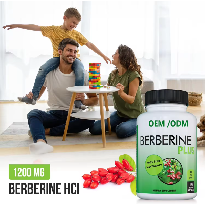 Private Label Berberine Capsules OEM Manufacturing Service 500mg 1000mg Custom Formula GMP Certified Production