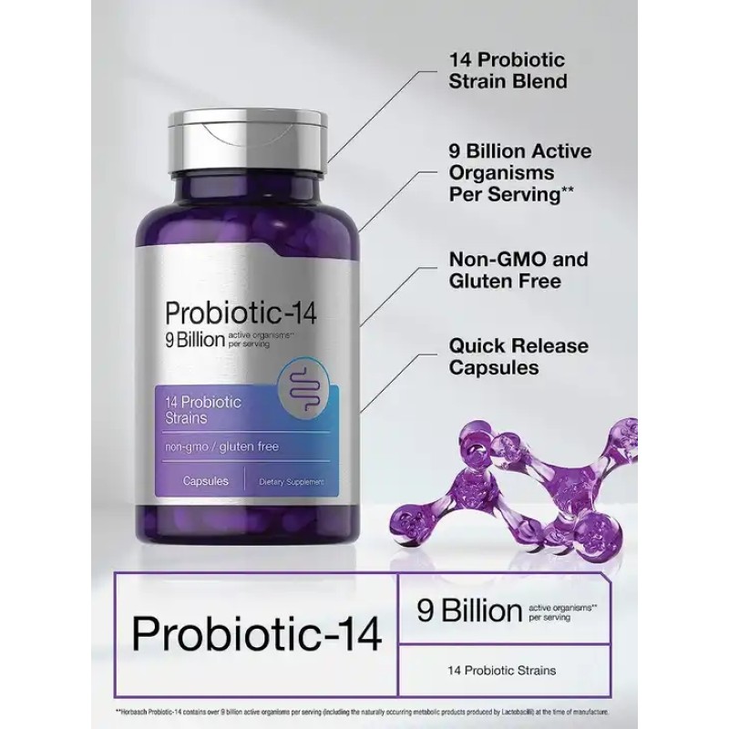 OEM Manufacturer's New Probiotic Capsules with Prebiotic Softgel and Hard Non-GMO Support Private Label Beauty Products