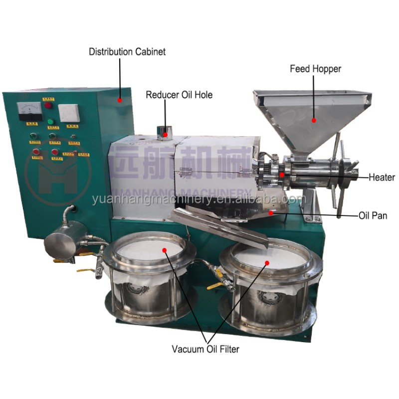 Automatic Oil Press Manufacturer - Automatic Cooking Cold Screw Palm Fruit