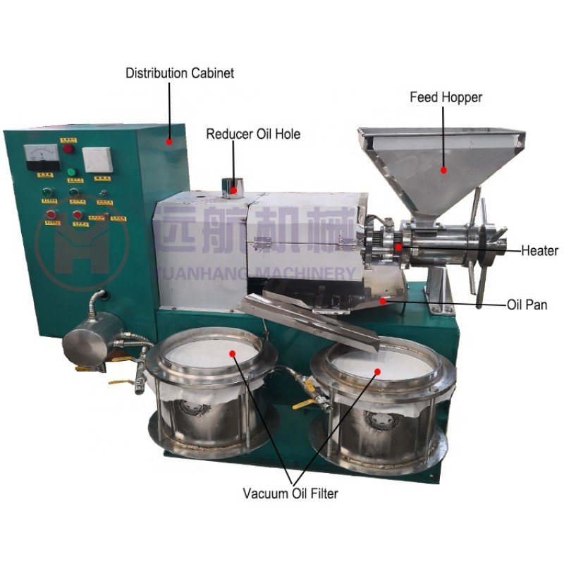 Oil Press Machine Factory - Automatic Cooking Cold Screw Palm Fruit Sunflower