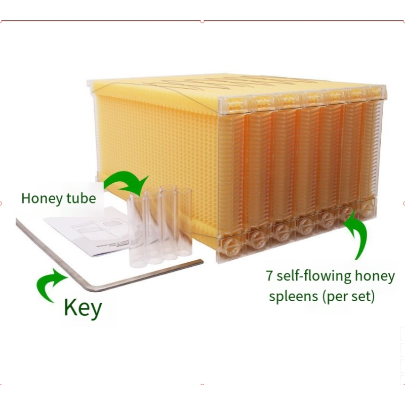 Beehive Manufacturer - 5-Layer Pine Wood Equipment