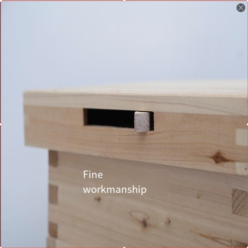 Beehive Manufacturer - 5-Layer Pine Wood Equipment