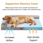Pet Beds Sofas Cushions