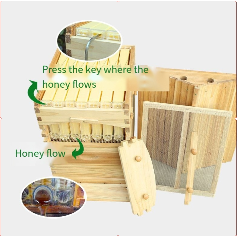 Beehive Manufacturer - 5-Layer Pine Wood Equipment