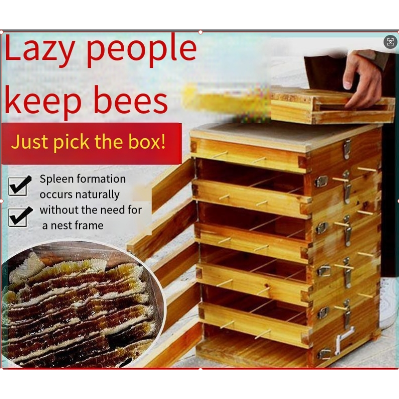 Bee Hive Factory - Automatic Wood Starter Kit