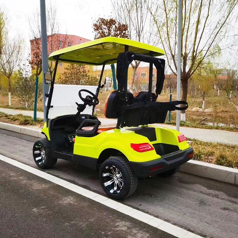 Electric Golf Cart Factory - Custom Outdoor Off Road Battery Operated Cart
