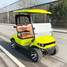 Electric Golf Cart Factory - Custom Outdoor Off Road Battery Operated Cart