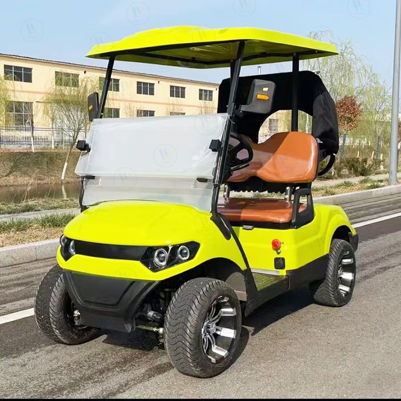 Electric Golf Cart Factory - Custom Outdoor Off Road Battery Operated Cart