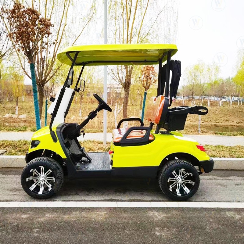 Electric Golf Cart Factory - Wholesale Custom 2/4/6 Seater Passenger Carts