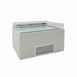 Sandwich Showcase Factory - Custom Horizontal Refrigerator Open Display