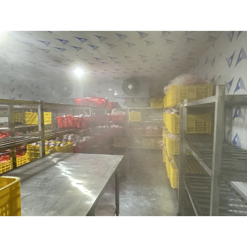 Cold Room Factory - Custom Walk-In Cold Storage Fish Meat Freezer