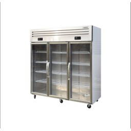 Vertical Freezer Factory - Custom Stainless Steel Glass Door Display
