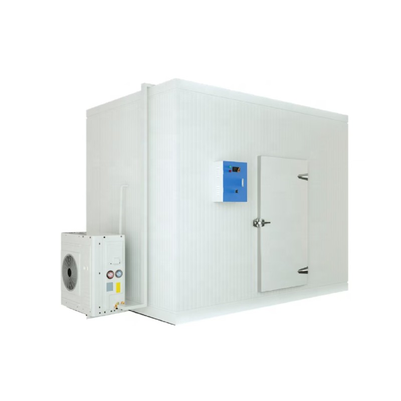 Cold Room Factory - Custom Walk-In Cold Storage Fish Meat Freezer