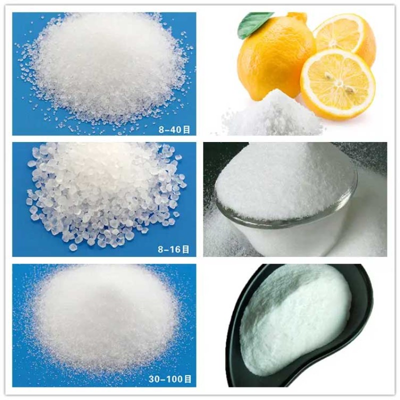 Citric Acid Anhydrous and Citric Acid Monohydrate/citric Acid Anhydrous 200 Mesh