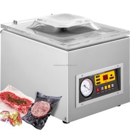 Vacuum Sealer Factory - Custom WeWork DZ 260S Chamber Vacuum Packer