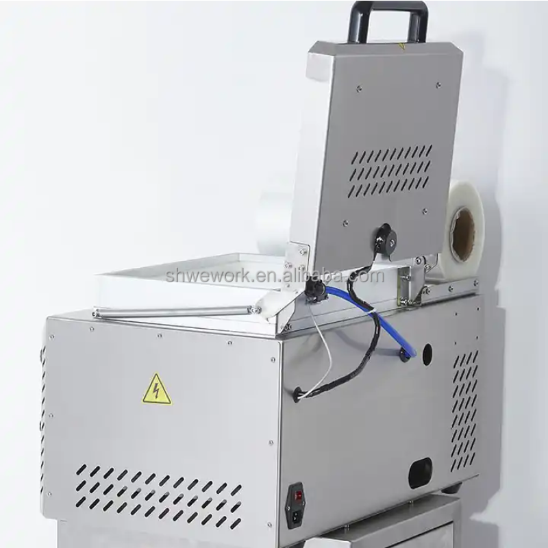 Vacuum Packing Machine Factory - Custom WeWork DJT-310VS Skin Tray Sealer
