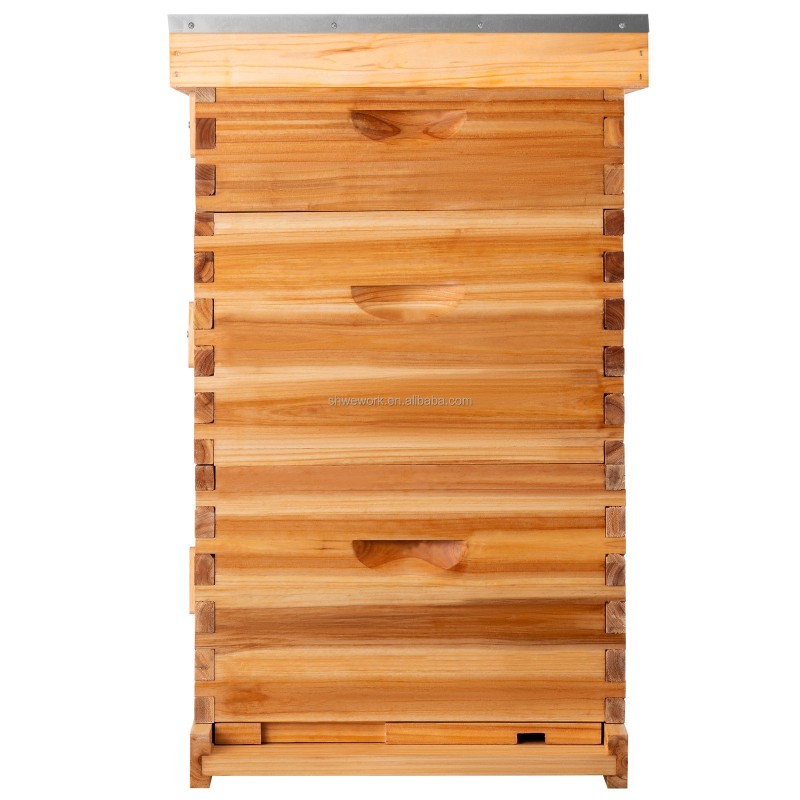 Bee Hive Factory - Wholesale WeWork Beehive Kit Beekeeping Equipment