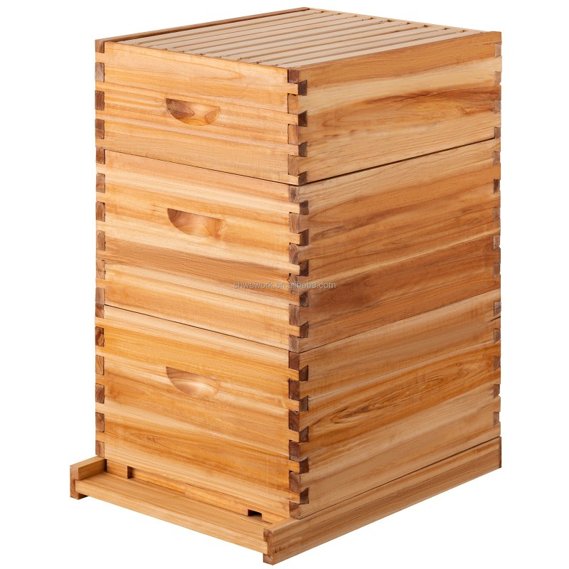 Bee Hive Factory - Wholesale WeWork Beehive Kit Beekeeping Equipment